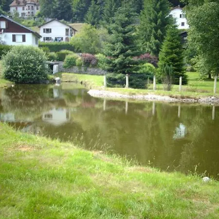Familial Aux Vosges Avec Jeux Pour Enfants, A Proximite De La Nature Et Activites Sportives - Fr-1-589-111 Holiday home Le Menil