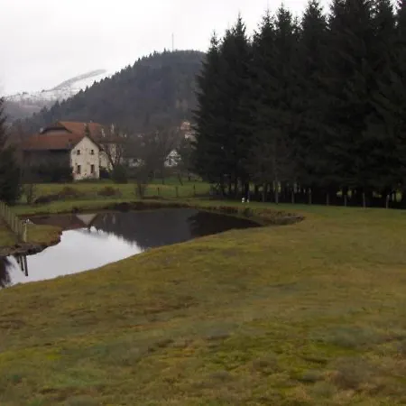 Familial Aux Vosges Avec Jeux Pour Enfants, A Proximite De La Nature Et Activites Sportives - Fr-1-589-111 Holiday home