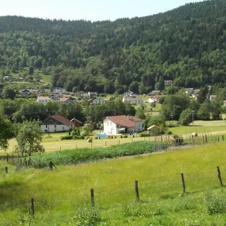 Holiday home Familial Aux Vosges Avec Jeux Pour Enfants, A Proximite De La Nature Et Activites Sportives - Fr-1-589-111 Le Menil